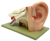 EarMode